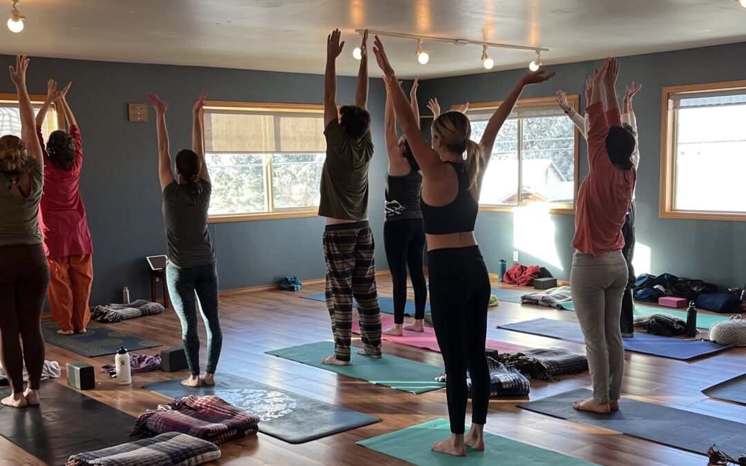 Yoga Classes