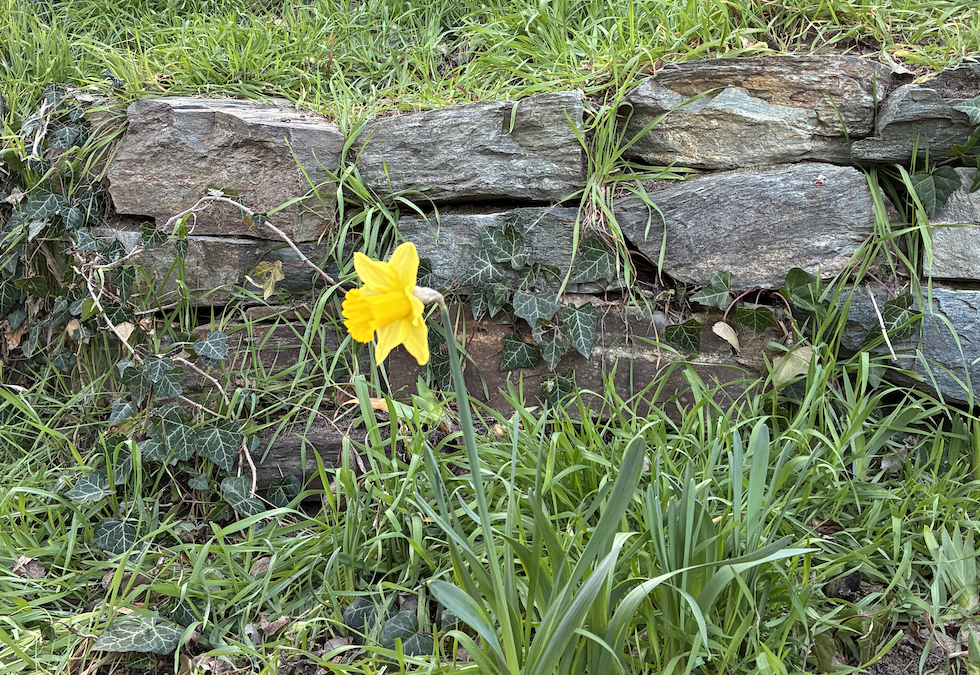 Watching for Errors in Reasoning